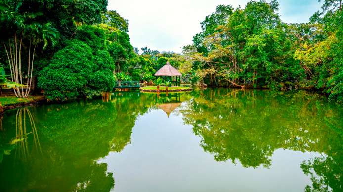 Cosas que hacer en isla Mauricio | Costa Cruceros