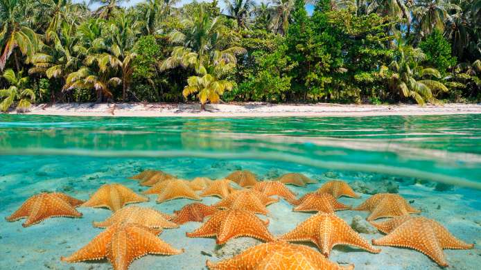Las 10 Mejores Playas de | Cruceros