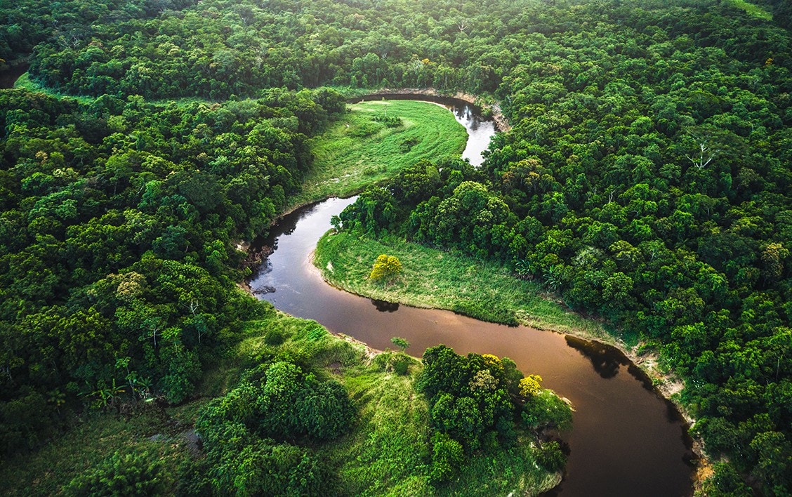 crucero por sudamérica